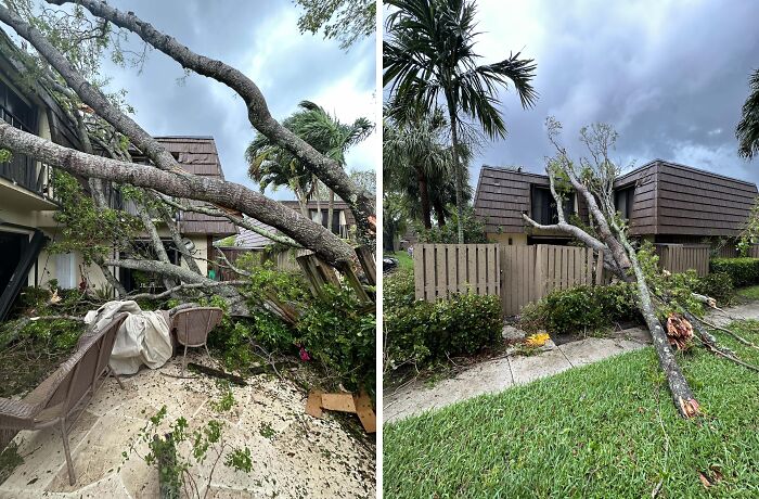 Fallen trees on houses after a storm demonstrate the challenges of nature disaster resilience in urban areas.