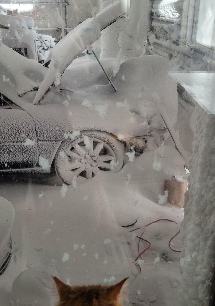 Car completely covered in snow inside a garage, illustrating nature disaster resilience challenges.