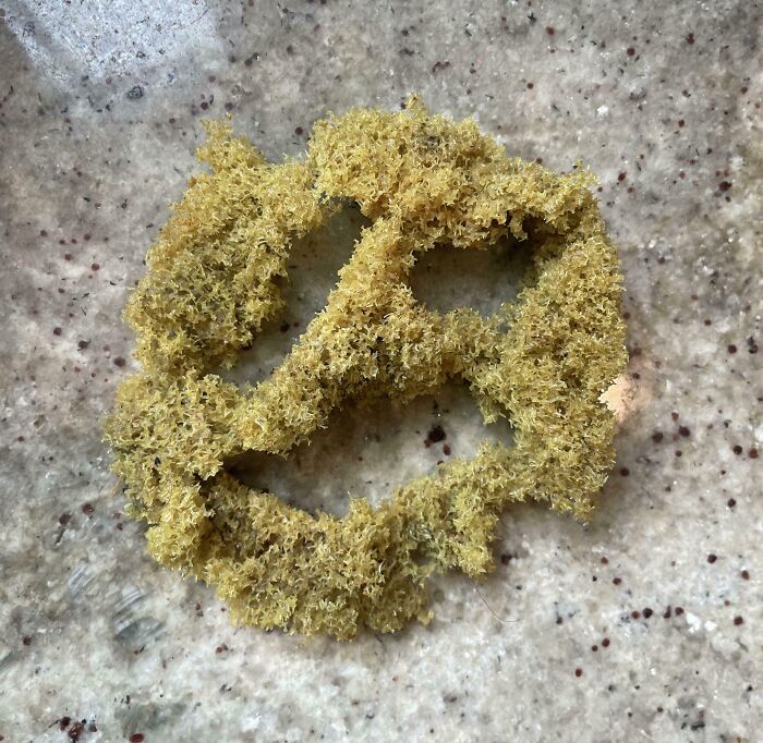 A worn-down kitchen sponge showing the effects of time on its structure.