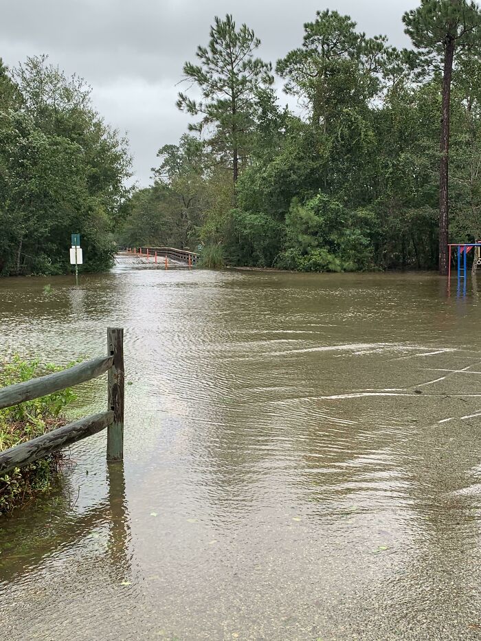 Flooded road in a forested area demonstrating nature disaster resilience methods.
