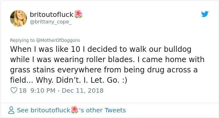 Tweet about a child's rollerblade adventure with a bulldog, sharing a humorous and clueless experience.