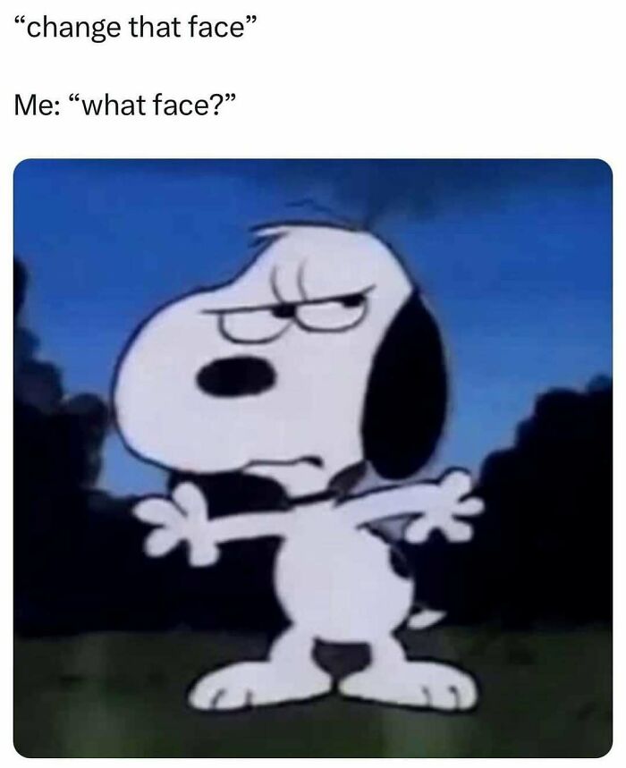 Meme with cartoon dog making a confused face, illustrating humor as a coping mechanism in a funny social media post.