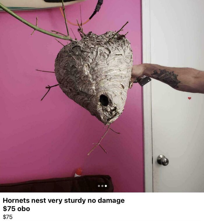 Tattooed arm holding a sturdy hornet's nest against a pink wall; creepy things sell online.