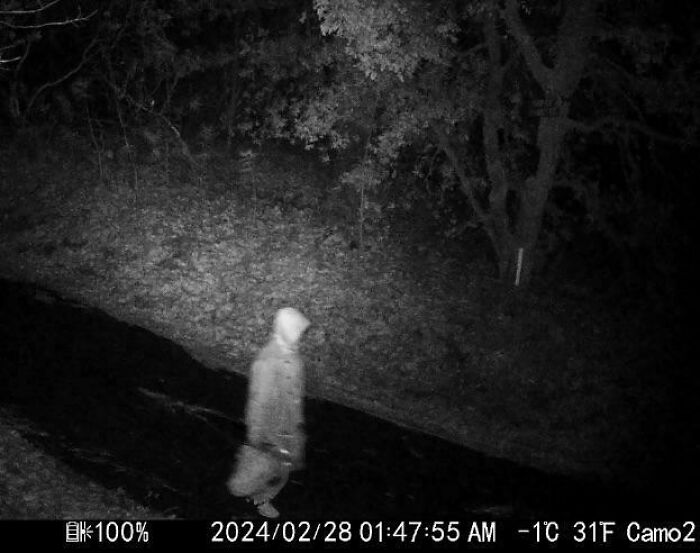 A hooded figure captured on a trail cam at night, evoking a creepy atmosphere in a wooded area.