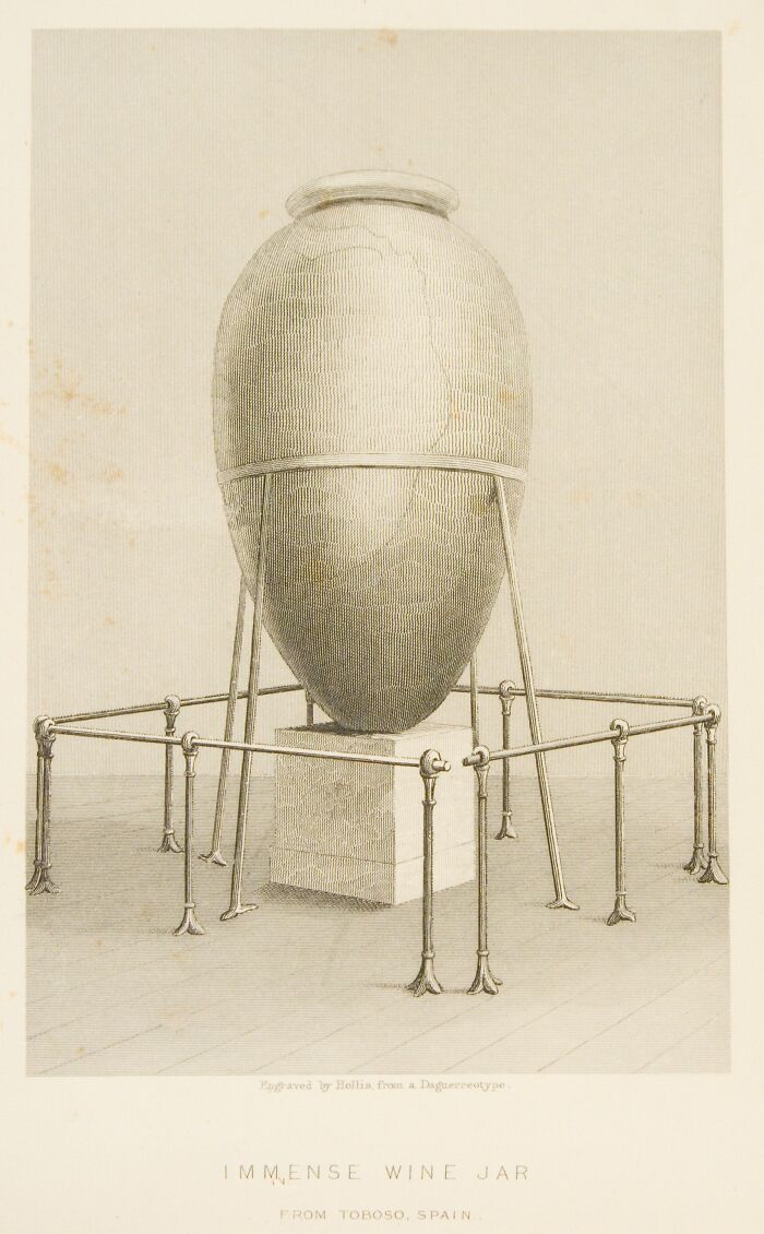 Engraving of an immense historical wine jar from Toboso, Spain, showcasing an inventive design ahead of its time.