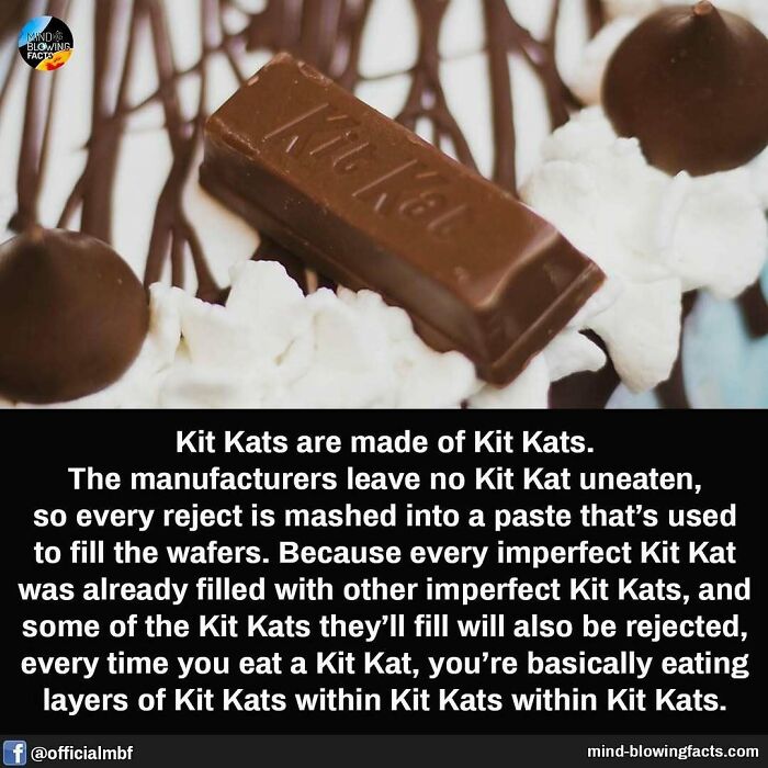 Close-up of a Kit Kat chocolate bar with whipped cream and chocolate truffles, illustrating mind-blowing facts about Kit Kats.
