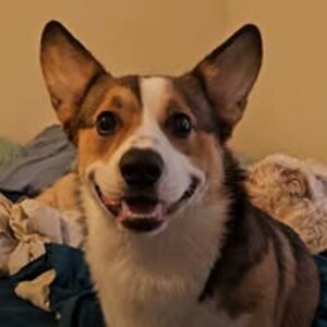 a_soul_without_a_home avatar