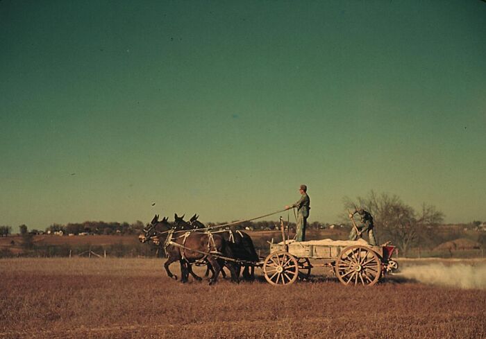 Horse-drawn cart plowing a field in a 1940 color photo, with two men guiding the horses under a clear sky.