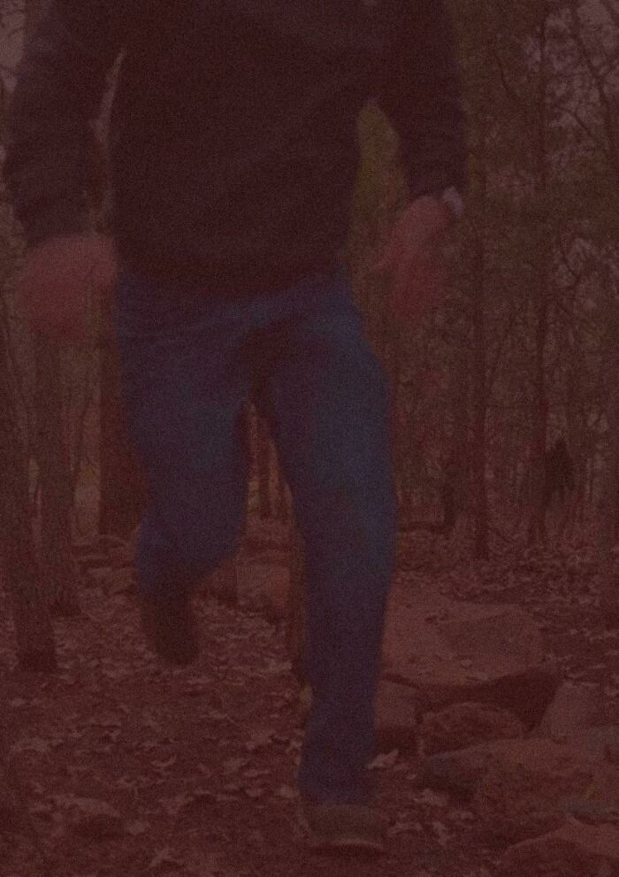 Mysterious figure caught on trail cam, running through a dimly lit forest.