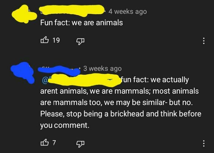 Two social media comments showcasing 2024 dumbest posts, with a humorous misunderstanding of biology.