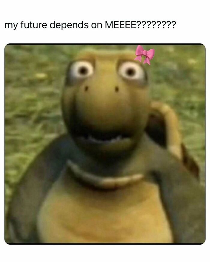 Funny meme with a cartoon turtle wearing a pink bow, expressing shock and humor as a coping mechanism.