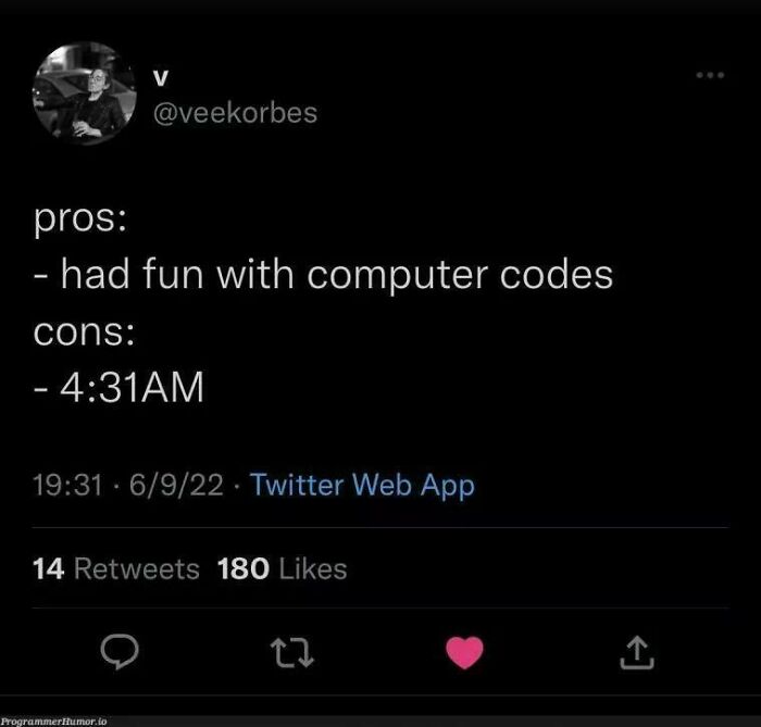 Tweet about the pros and cons of programming: "pros: fun with computer codes, cons: 4:31 AM."