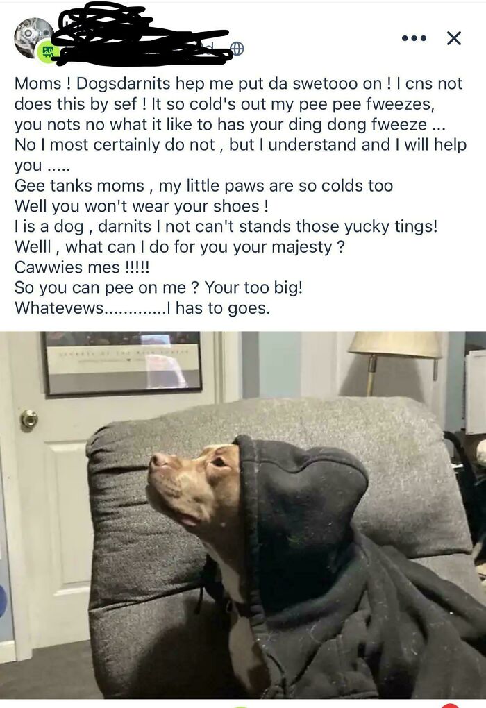 Screenshot of a wild post from a neighbors app featuring a dog in a hoodie with funny, playful text.