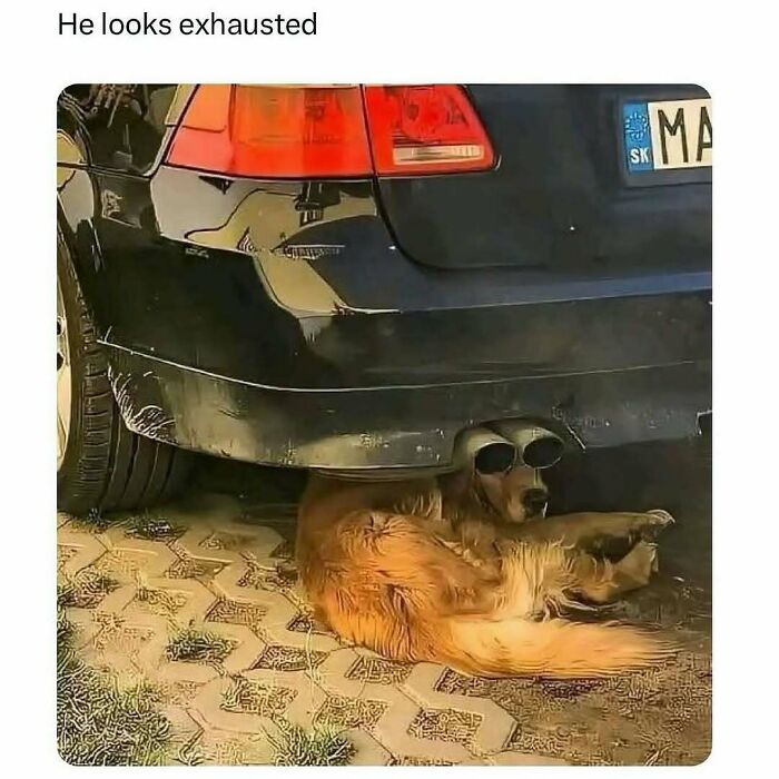 Dog wearing sunglasses under a car looks like it's part of the exhaust, showcasing dad jokes humor.