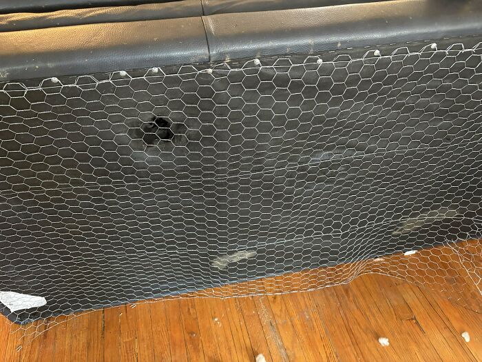 Kitten Proofing The Underside Of My Couch