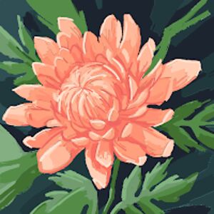 lizzy-janeross avatar