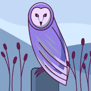 aliousousfedeinstin avatar