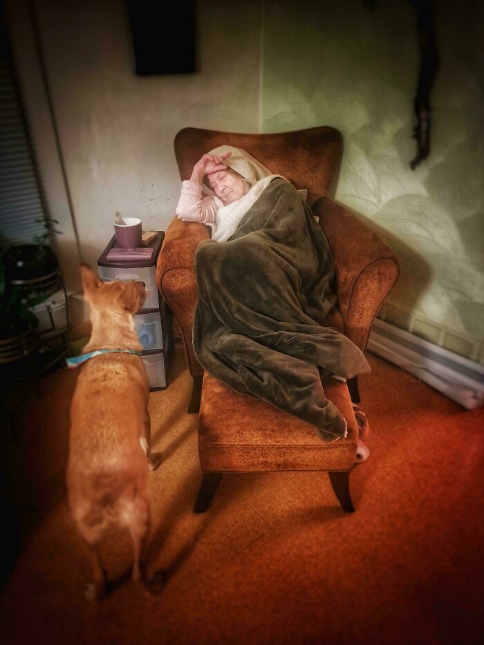Woman reclined on a chair wrapped in a blanket, resembling a Renaissance painting with a dog looking on.