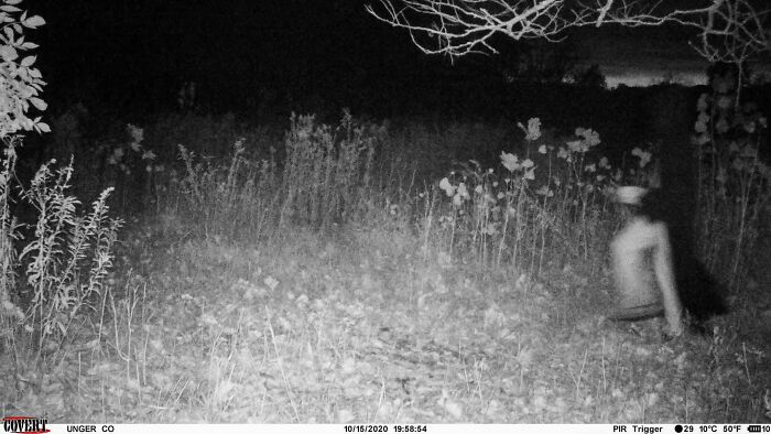 Nighttime trail cam image showing a mysterious figure kneeling in a forest clearing.