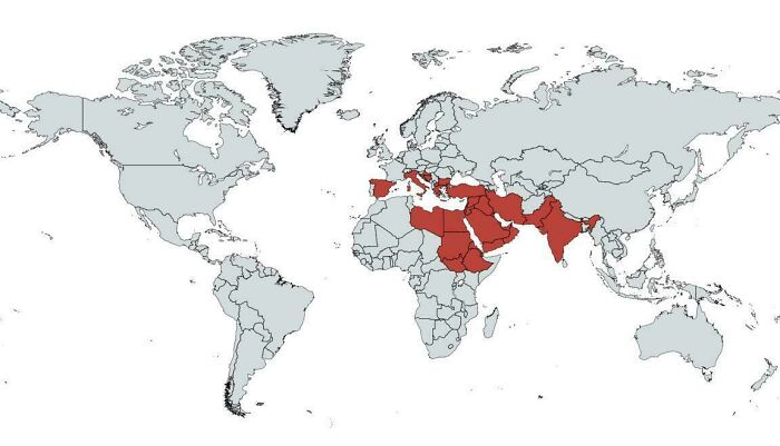 Map highlighting countries in the Middle East and North Africa, not typically shown in geography textbooks.