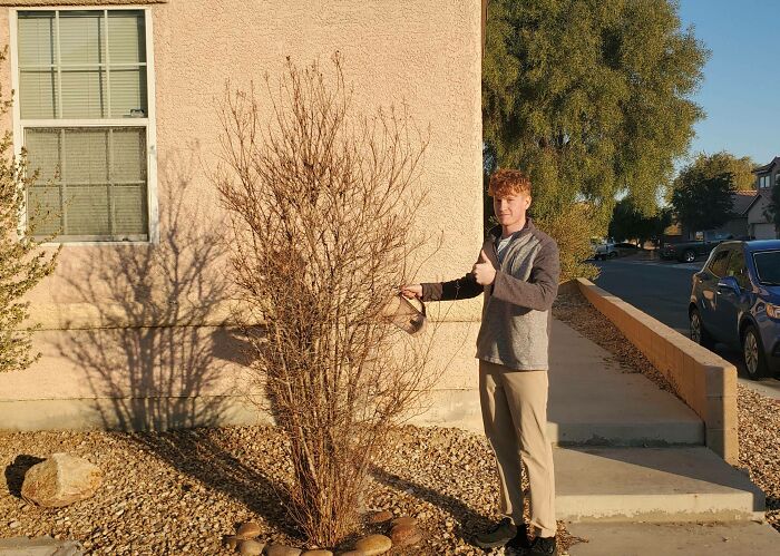 a Asociación nos dio 1 semana de aviso para arreglar nuestro árbol «estresado» o de lo contrario seríamos desalojados. Les enviamos esto: