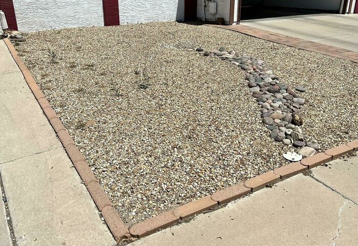 La asociación me sancionó por «exceso de malas hierbas en el jardín delantero».