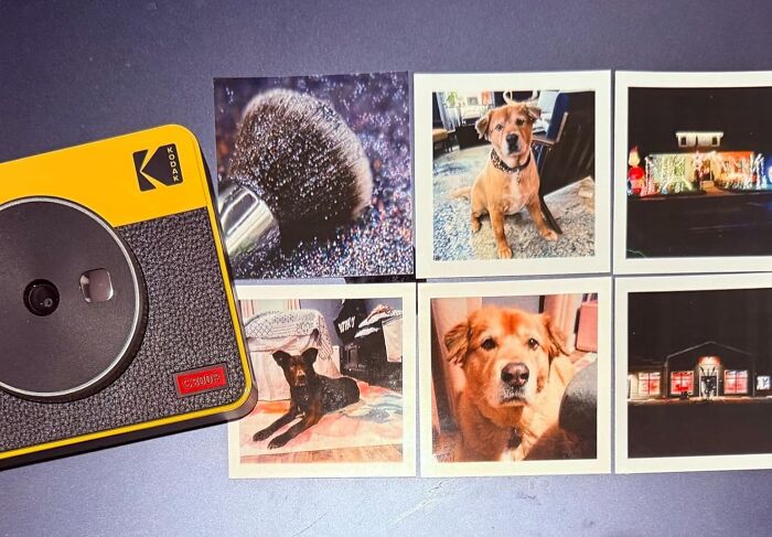 Retro Kodak camera with vintage printed photos of dogs and a makeup brush, highlighting nostalgic retro finds for old souls.