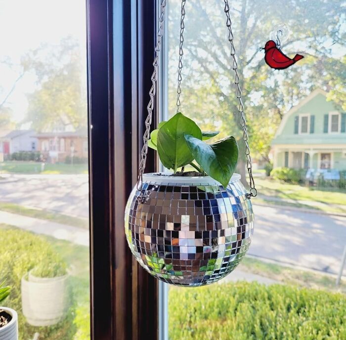 Hanging retro disco ball planter with green leaves near window, capturing vintage style and nostalgic decor.