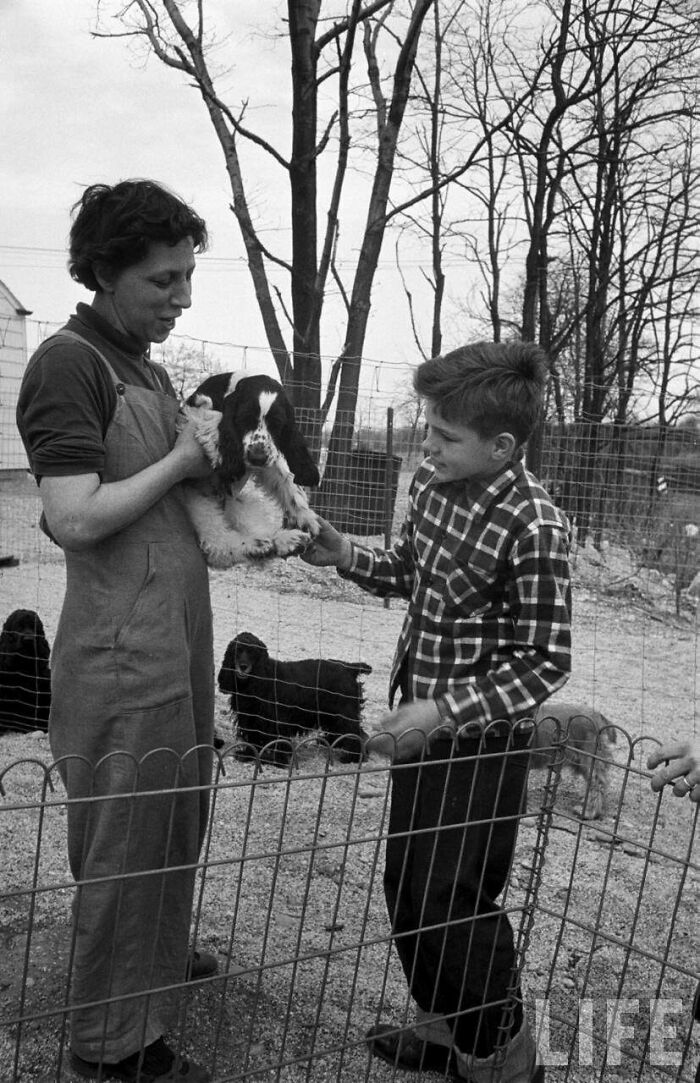 A Boy And His New Dog, 1951