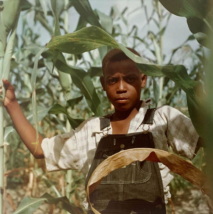 Gordon Parks 1956 Series “S*********n Story” Has Me Reaching For My Rolleiflex