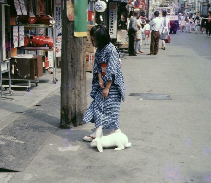 A Girl Walking Her Rabbit In A Summer Kimono. Shinagawa, Japan, 1973