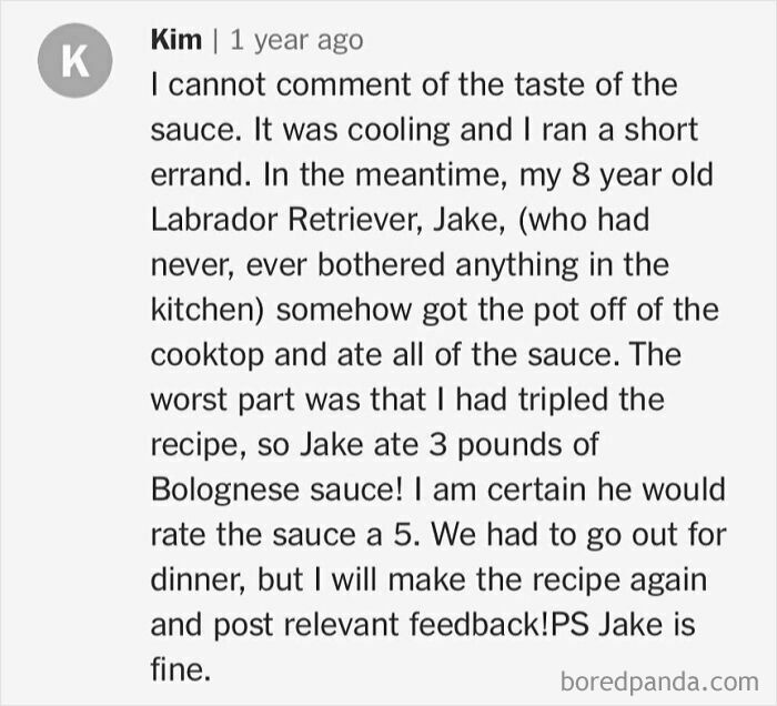 Unhinged cooking comment about a dog named Jake eating three pounds of Bolognese sauce while left unattended.