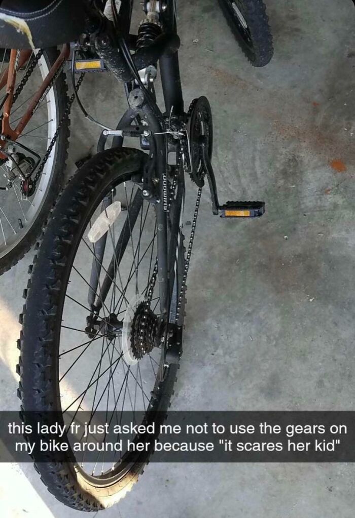 Bicycle parked in a garage with a caption about a request not to use gears, illustrating people being complete jerks.