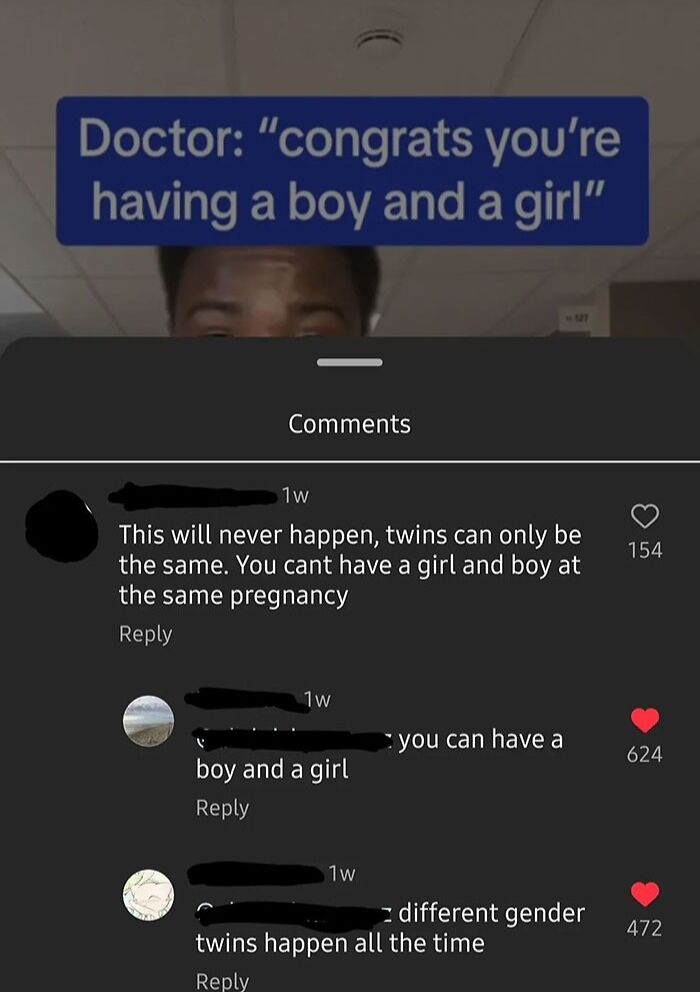 Screenshot showing comments debating gender of twins, related to dumbest posts in 2024.