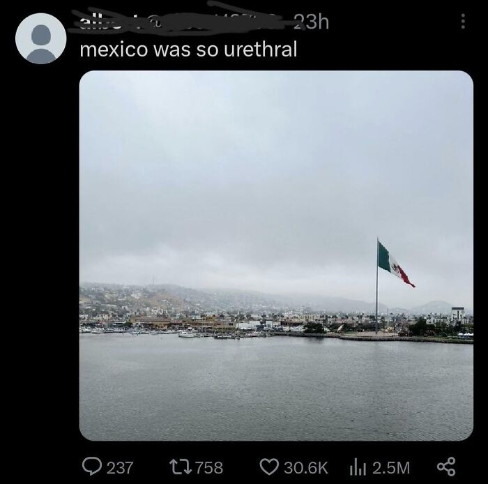 A tweet misspelling "ethereal" as "urethral" with an image of a Mexican flag by the waterfront, reflecting dumbest posts.