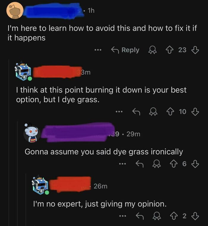 A humorous Reddit thread showcasing a 2024 dumbest post about dyeing grass.