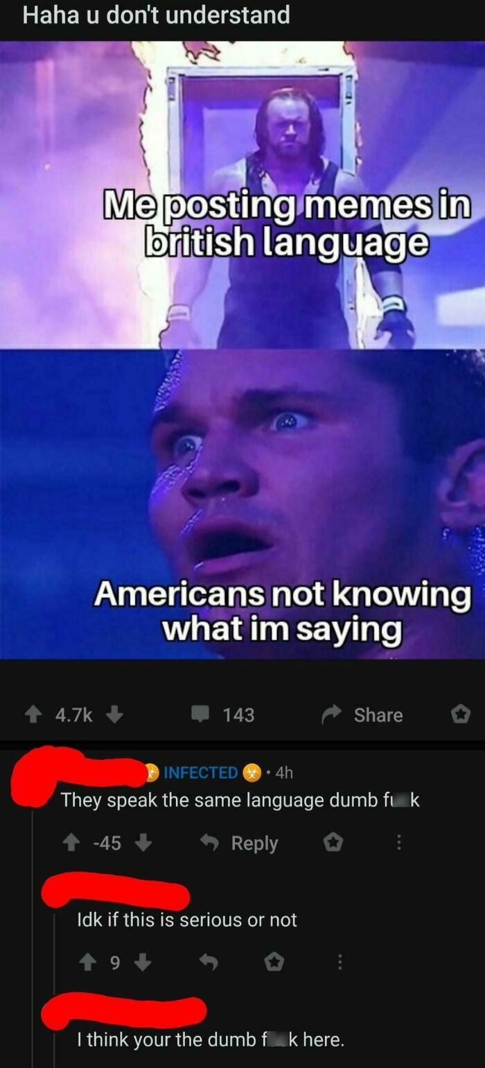 Meme discussing language differences with humorous comments; example of 2024 dumbest posts.