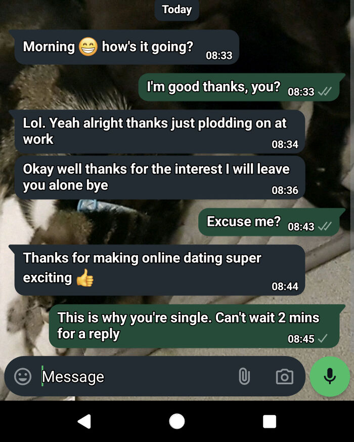 Chat between two people on a dating app, showcasing chaotic online dating interactions.