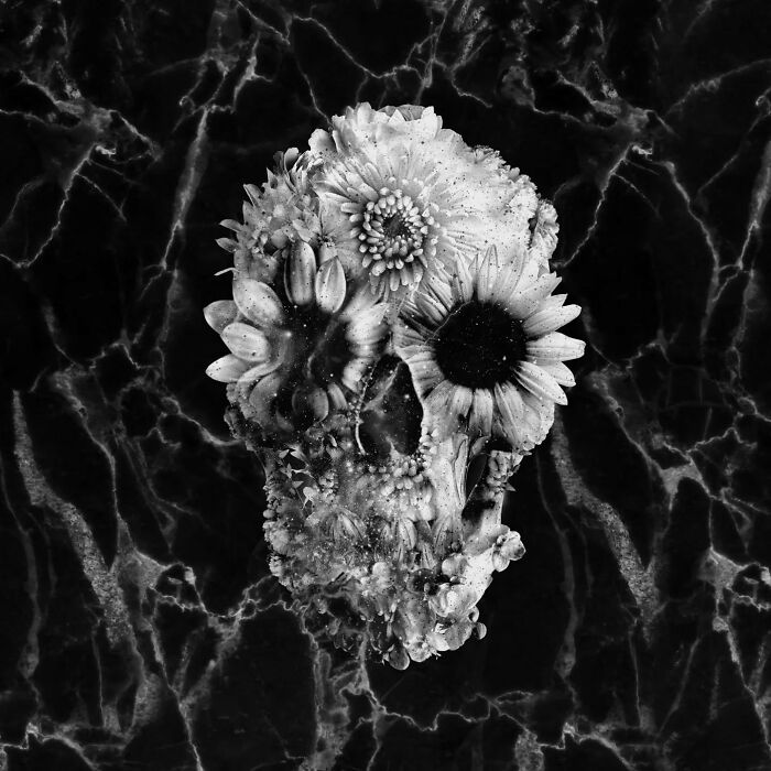 Black and white skull artwork using photo collage with flowers against a textured background.