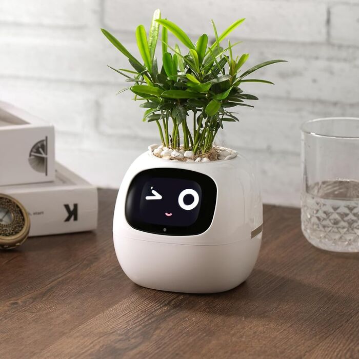Cute white planter with a digital face display, combining plant decor and tech innovation on a wooden table.