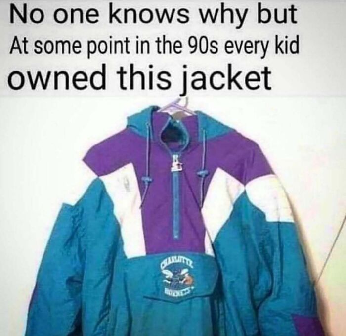 Nostalgic 90s jacket meme with a colorful windbreaker, captioned about kids owning it during the 90s.