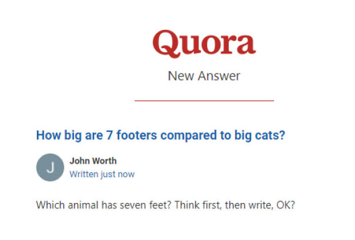 A weird question from Quora about comparing the size of 7 footers to big cats, written by John Worth.