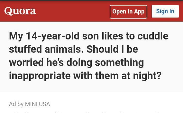 A strange question on Quora about a 14-year-old son and stuffed animals.