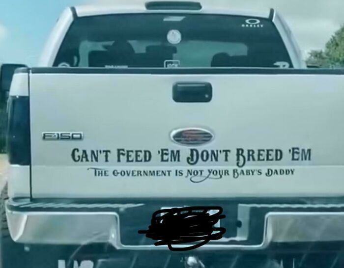 Pickup truck with a funny bumper sticker saying, "Can't Feed 'Em Don't Breed 'Em," seen on a highway.
