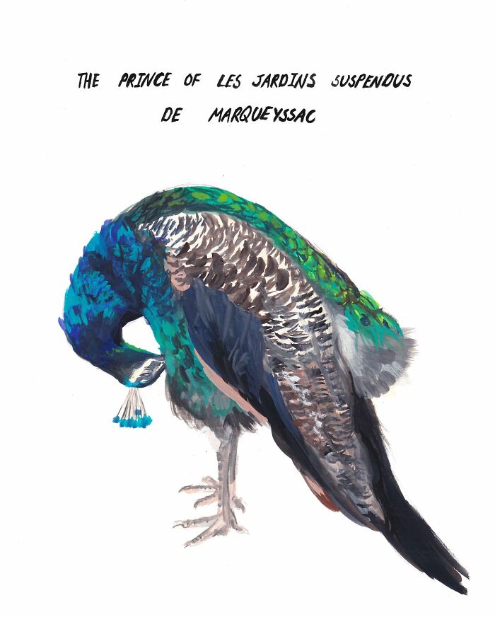 Minimalistic illustration of a peacock with text above, showcasing Natalya Lobanova's artistic style.