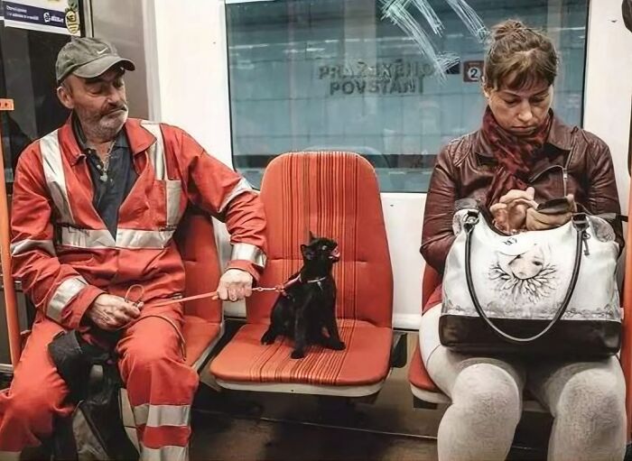 Subway passengers with a man in orange workwear holding a black cat on a leash, sitting on the train.