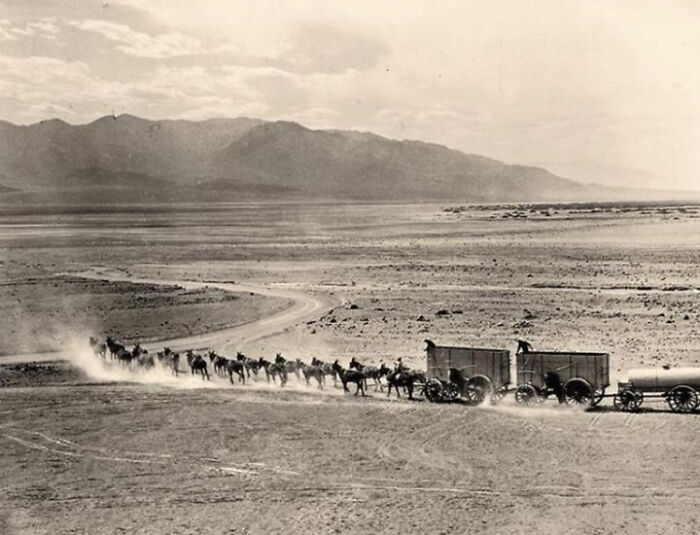 Una excursión comercial por el Valle de la Muerte en busca del mineral bórax, en algún momento de la década de 1890
