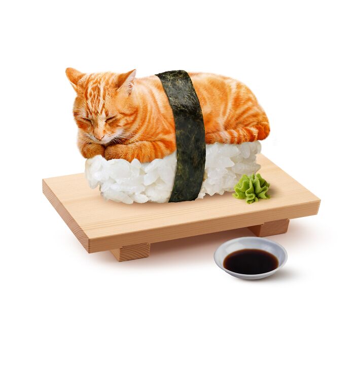 Cat sushi art by Taipei artist, featuring a sleeping orange cat on rice wrapped in seaweed, with wasabi and soy sauce.