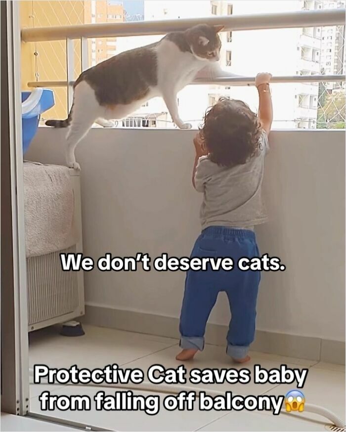 Hardworking feline stops a baby from climbing a balcony railing.