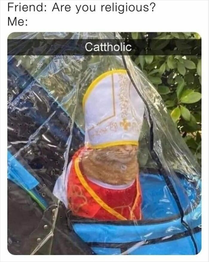 Cat dressed in a bishop outfit with the caption "Cattholic", showcasing hardworking and humorous felines.